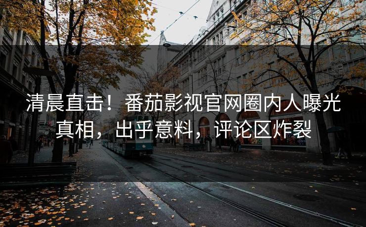 清晨直击！番茄影视官网圈内人曝光真相，出乎意料，评论区炸裂